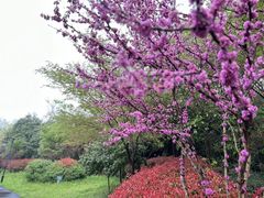 -嬉乐湾休闲旅游区