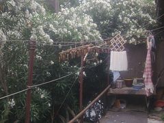 -南京夫子庙国际青年旅舍(平江府路店)