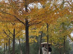 -艾溪湖湿地公园