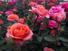 -闽江夜游台江旅游码头