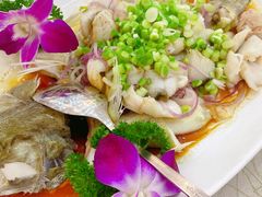 -轩记海鲜餐厅·四十五年老字号·经典粤菜(西区彩虹店)