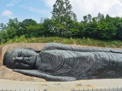 -三水森林公园