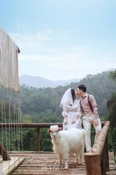 -花漾摄影优选工作室(东莞原创作品店)