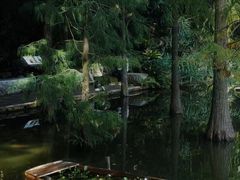 -深圳仙湖植物园