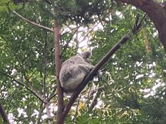 -费瑟代尔野生动物园