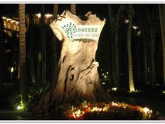 红树林度假酒店-三亚亚龙湾红树林度假酒店