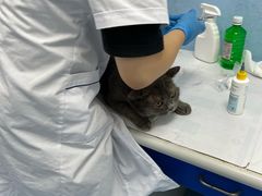 -成都民大动物医院