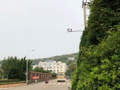 -枸杞岛