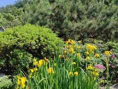 -长安文化生态公园