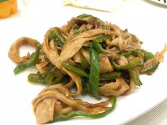 -丁老爷子苏香圆