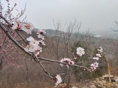 -北宫国家森林公园
