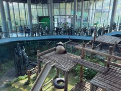 -大连森林动物园