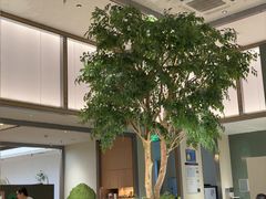 -榕意·川味之美(深业上城店)