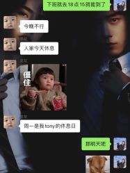 -大象造型