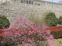 -秦始皇帝陵博物院-丽山园