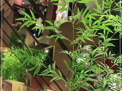 -初蓉丨遇见新川菜(亲贤街荣耀店)