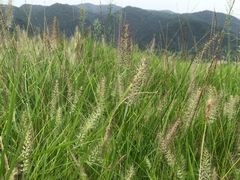景点-前童古镇