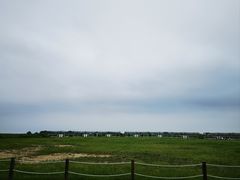 -盐城丹顶鹤湿地生态旅游区