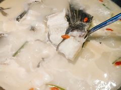 千岛湖鱼头-丰乐餐厅·始于1999·本地老字号