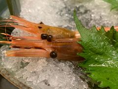 -山之川日料放题(通州店)