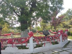-东台西溪天仙缘景区