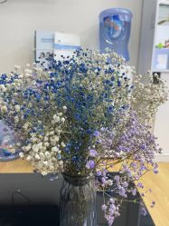 体验前-蕾特恩专业祛痘