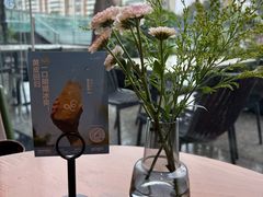 -gaga(北京新中关购物中心店)