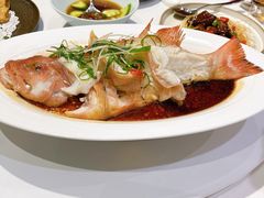 -南麓·浙里(外滩店)