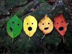 -洛阳白云山景区