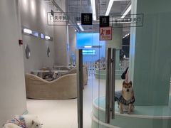 -怪兽屋·羊驼·猫咖·狗咖(俊华广场店)