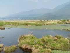 -腾冲北海湿地