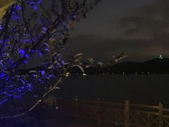 -望海·帆船主题咖啡厅•品茗下午茶(石湖景区店)