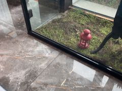 -麦当劳(王顶堤店)
