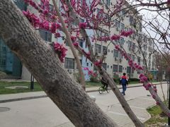 -长安大学(北校区)