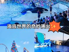 -上海海昌海洋公园
