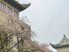 -武汉大学-樱园