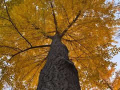 -济南南郊宾馆