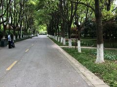 -上海鲜花港