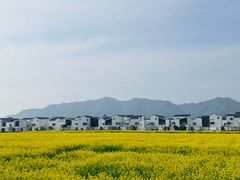 -东梓关景区村庄