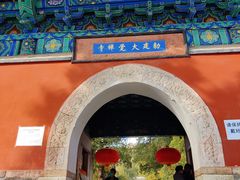 -大觉寺-停车场