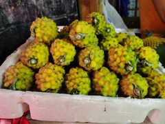 -港华水果街(港华广场店)