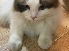 -白兔子密室(长寿路店)