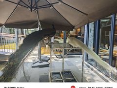 -渝半城经典川粤菜(重庆天地店)