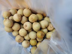 -百果园PAGODA(应元路店)