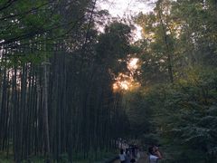 -西湖风景区十里琅珰-五云山