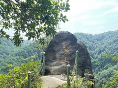 -南山植物园