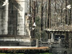 -音乐台