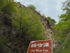 -九龙潭景区