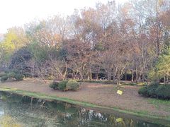 -上海海湾国家森林公园