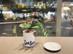 -Seesaw Coffee(苏州中心店)
